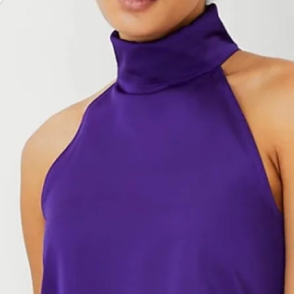 Ann Taylor Nwot Halter Top (Purple. Size S).